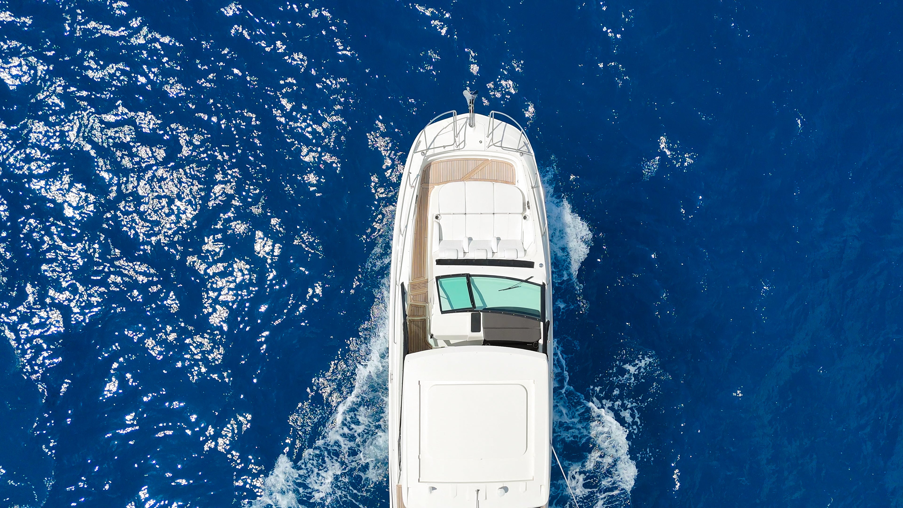 Sea Ray 320 - 11 Person Capacity