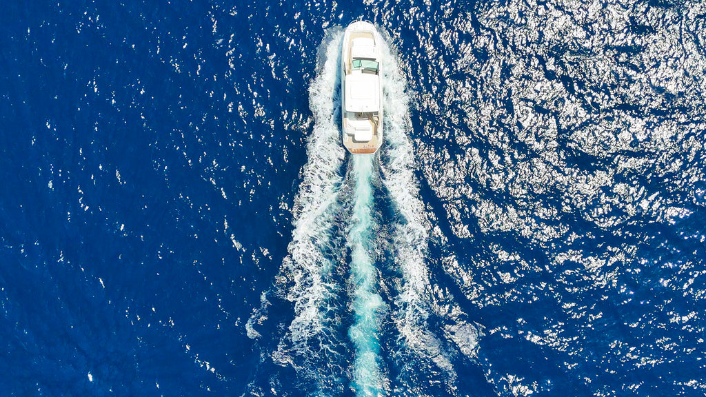 Sea Ray 320 - 11 Person Capacity