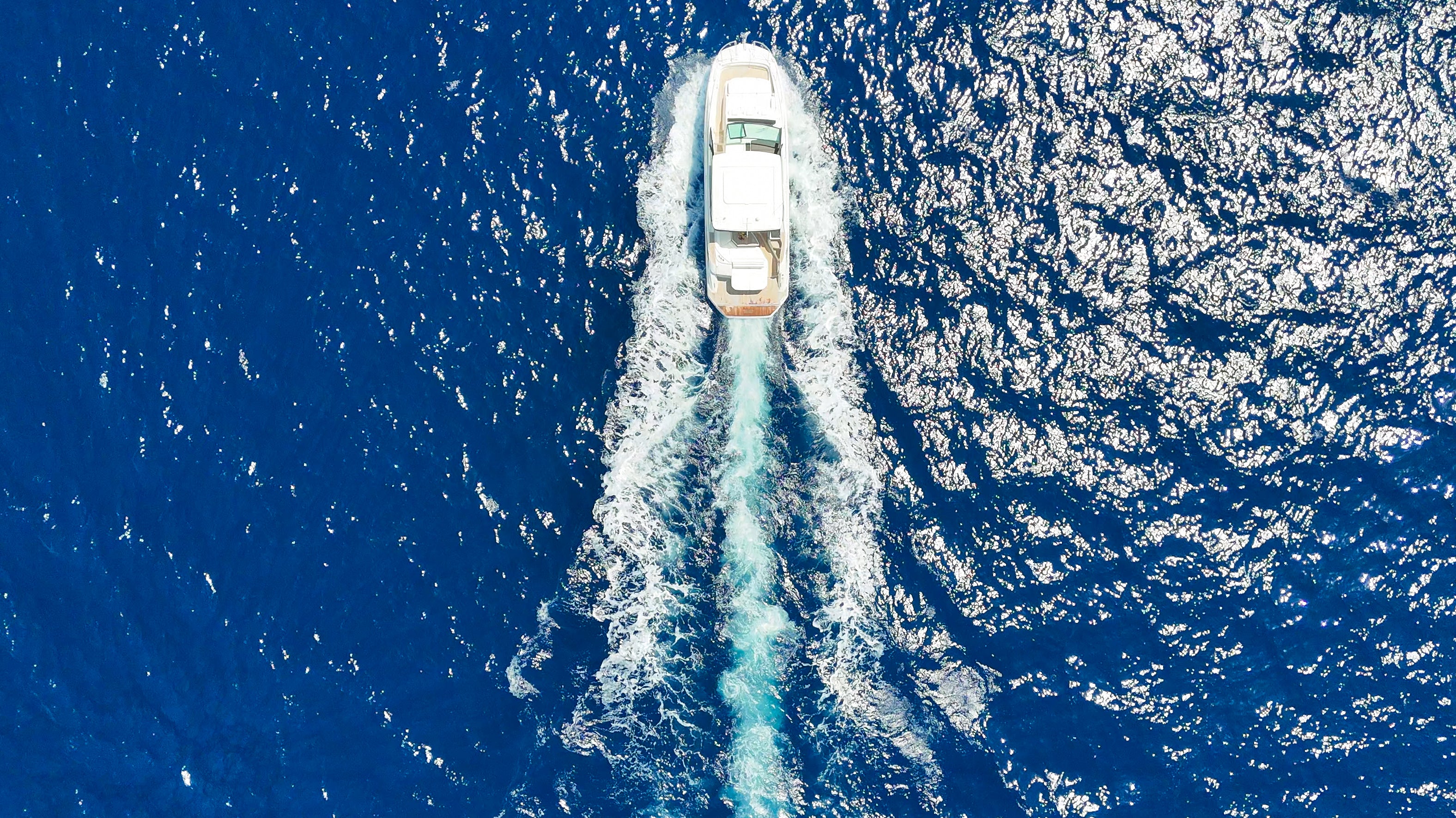 Sea Ray 320 - 11 Person Capacity