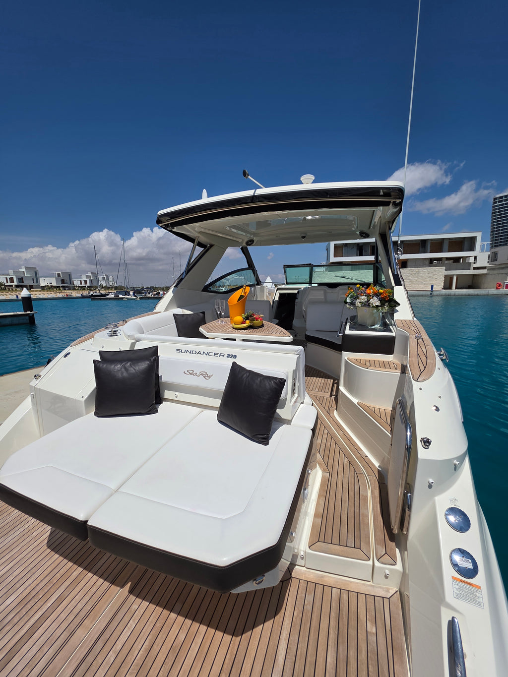 Sea Ray 320 - 11 Person Capacity