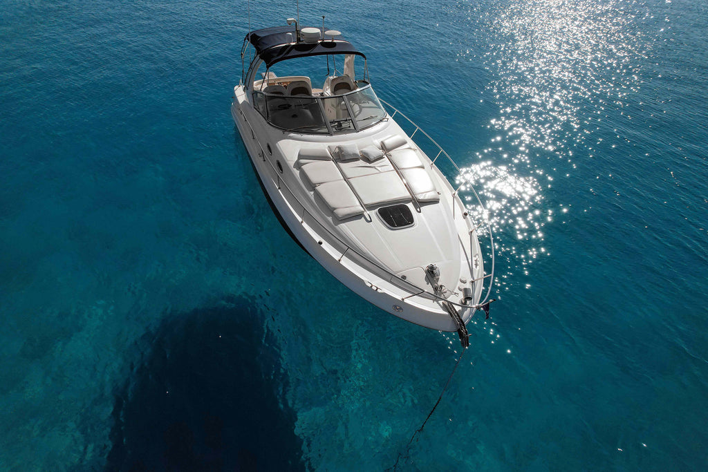 Sea Ray 375 - 11 Person Capacity