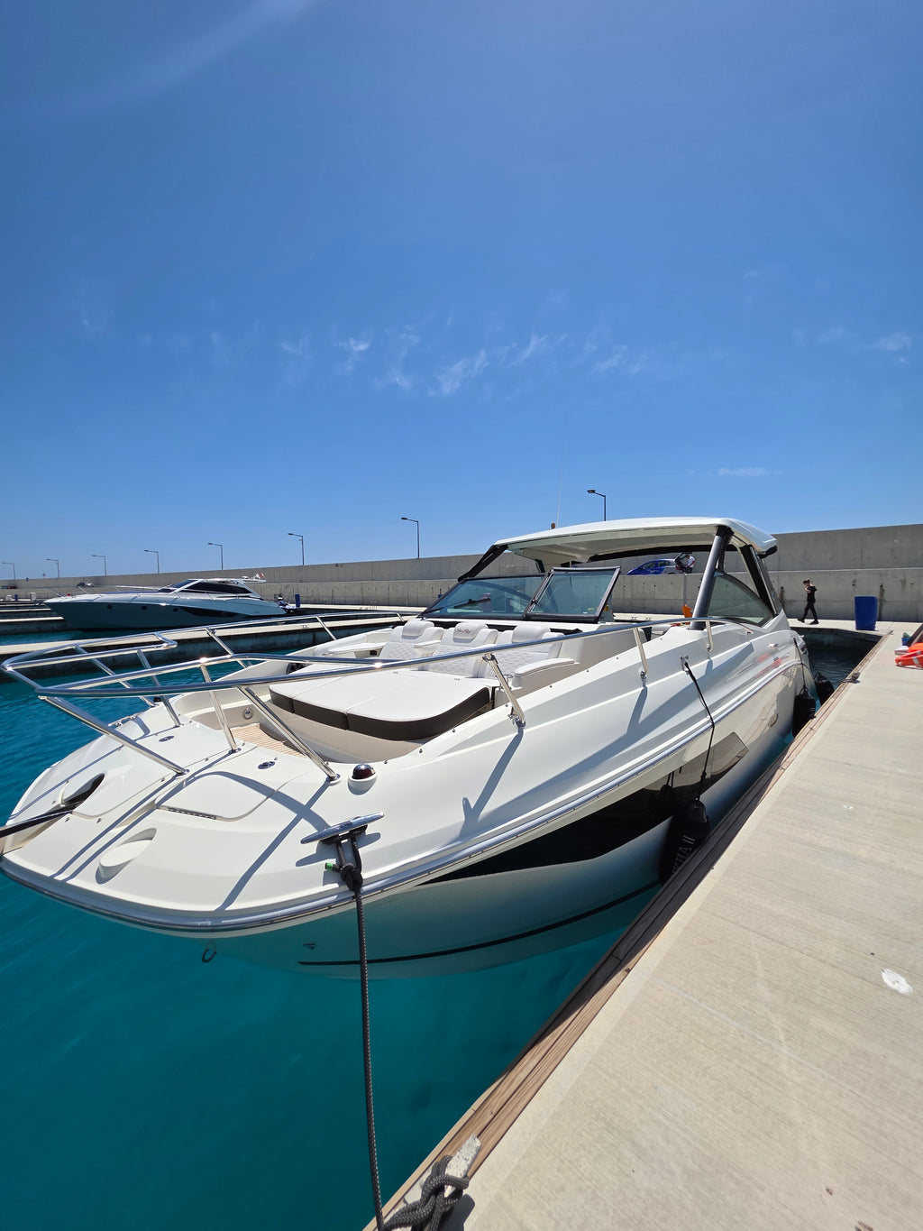 Sea Ray 320 - 11 Person Capacity