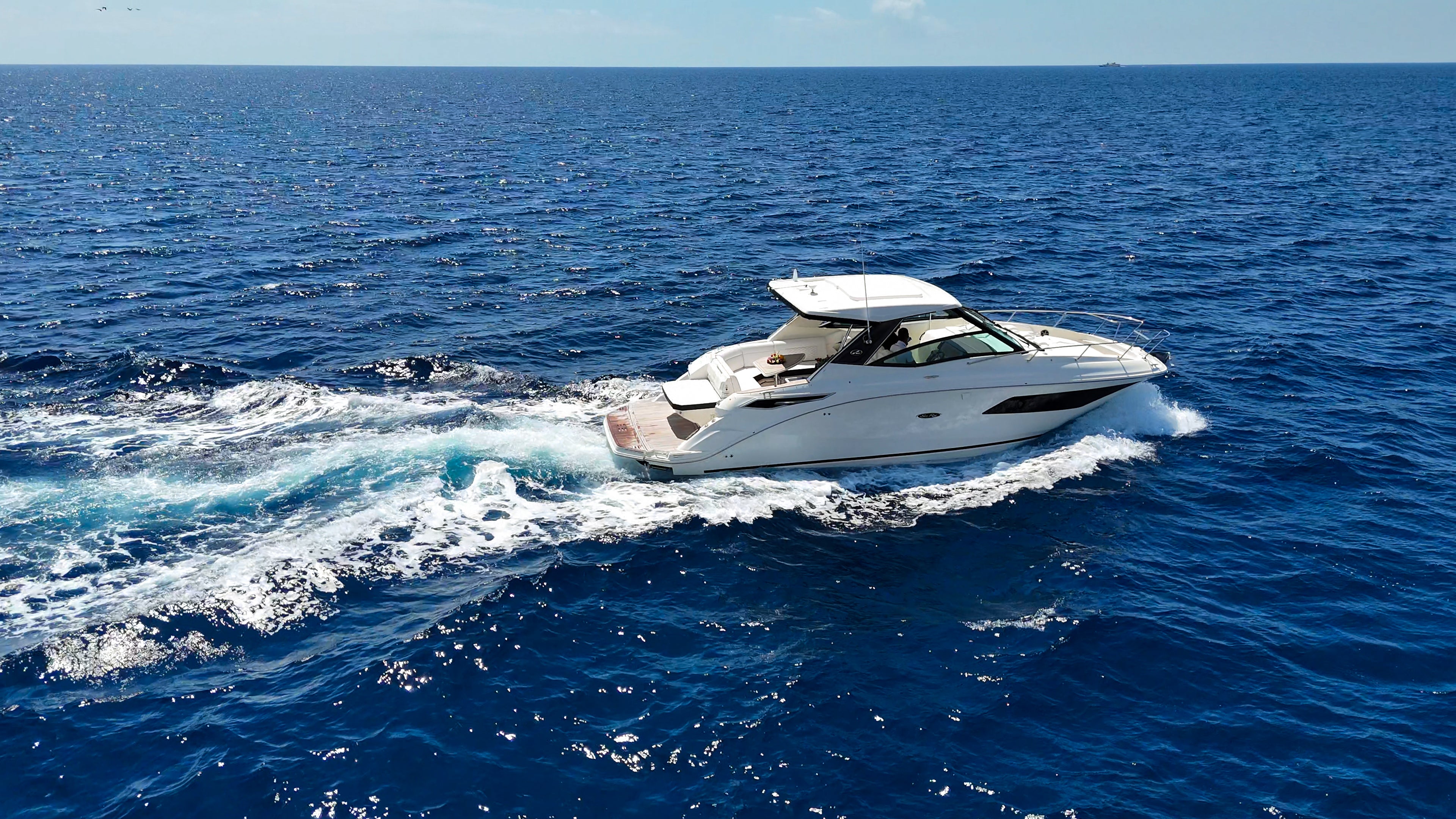 Sea Ray 320 - 11 Person Capacity