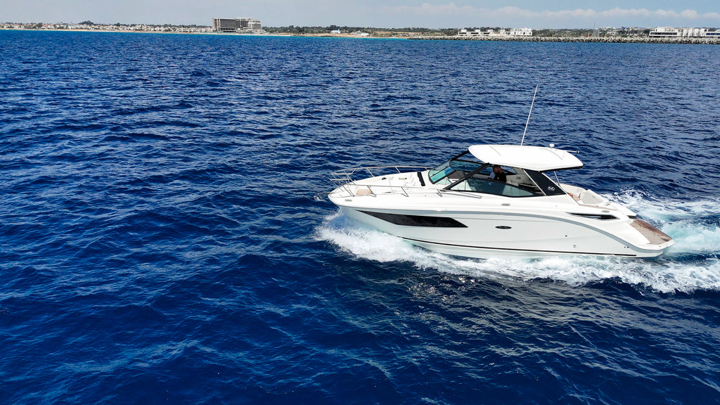 Sea Ray 320 - 11 Person Capacity