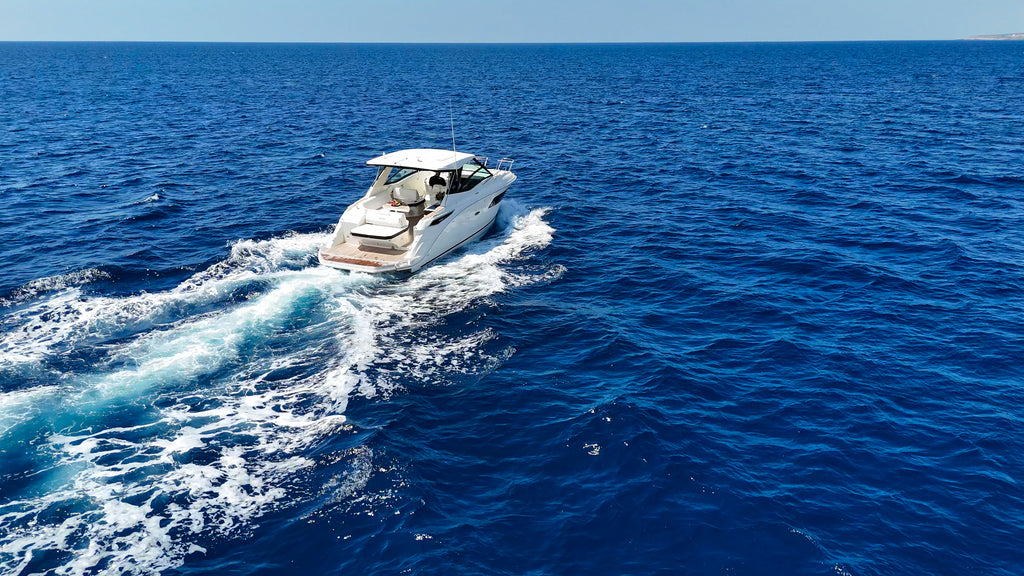 Sea Ray 320 - 11 Person Capacity