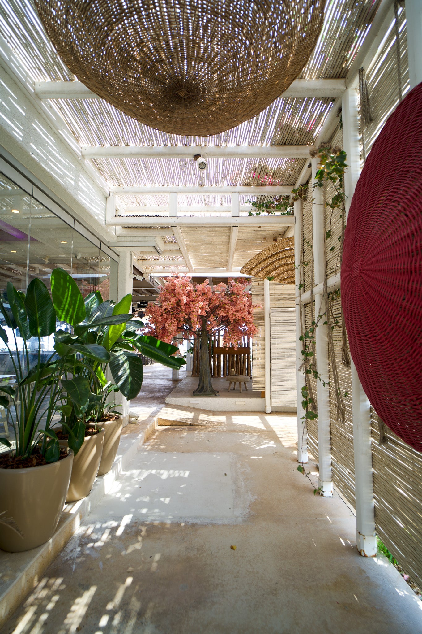 Luxury Twin Sunbed - (Max 2 Persons) Kaliva Beach Club