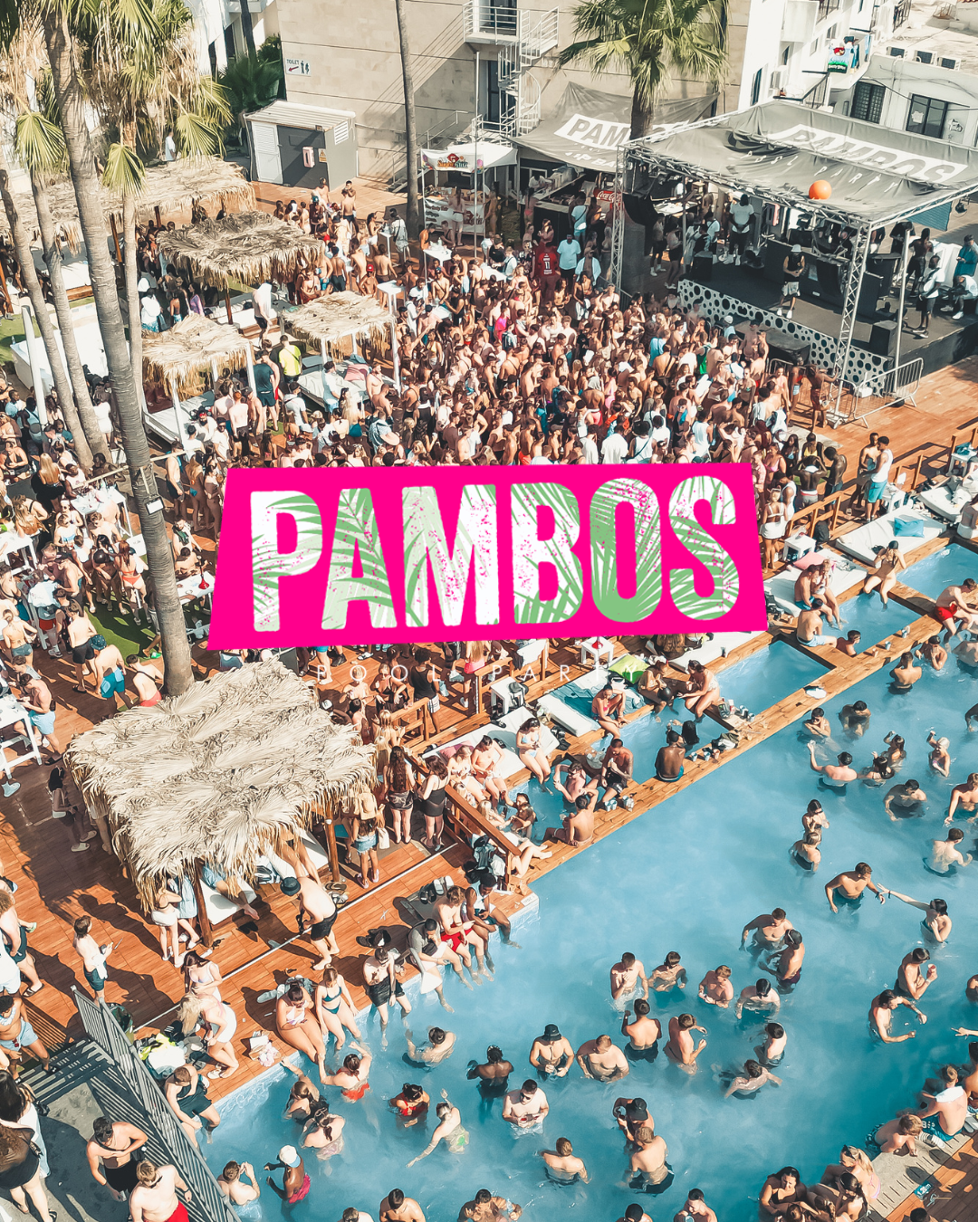 TOP PICKS Standard Package 2026